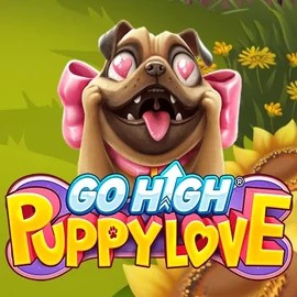 Slots logo of Go High Puppy Love from RubyPlay at Corgibet Casino